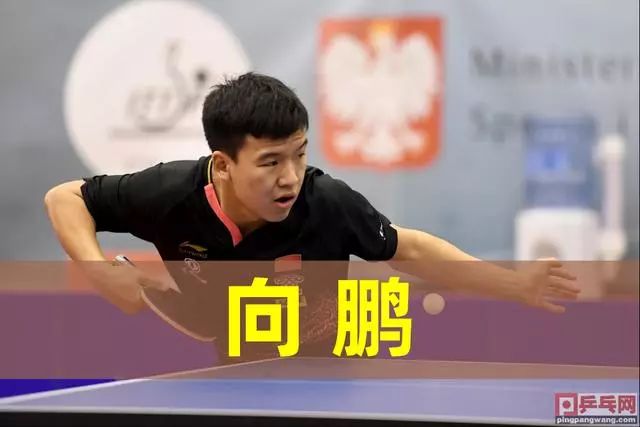 建立化学反 建立化学反